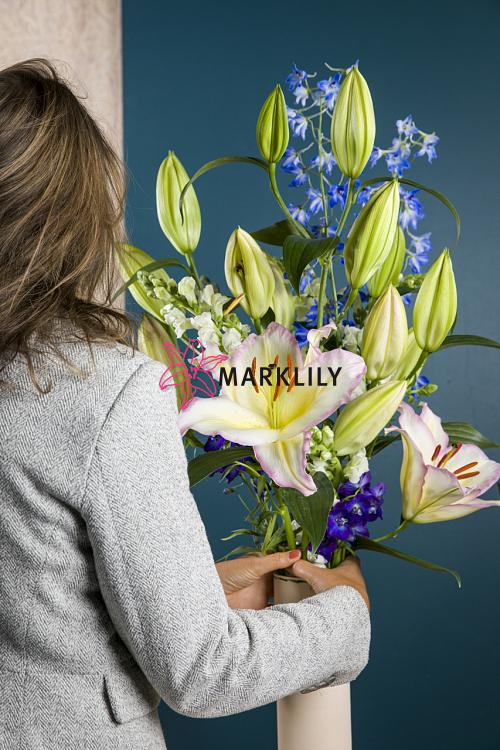 Captain Tricolore® 486